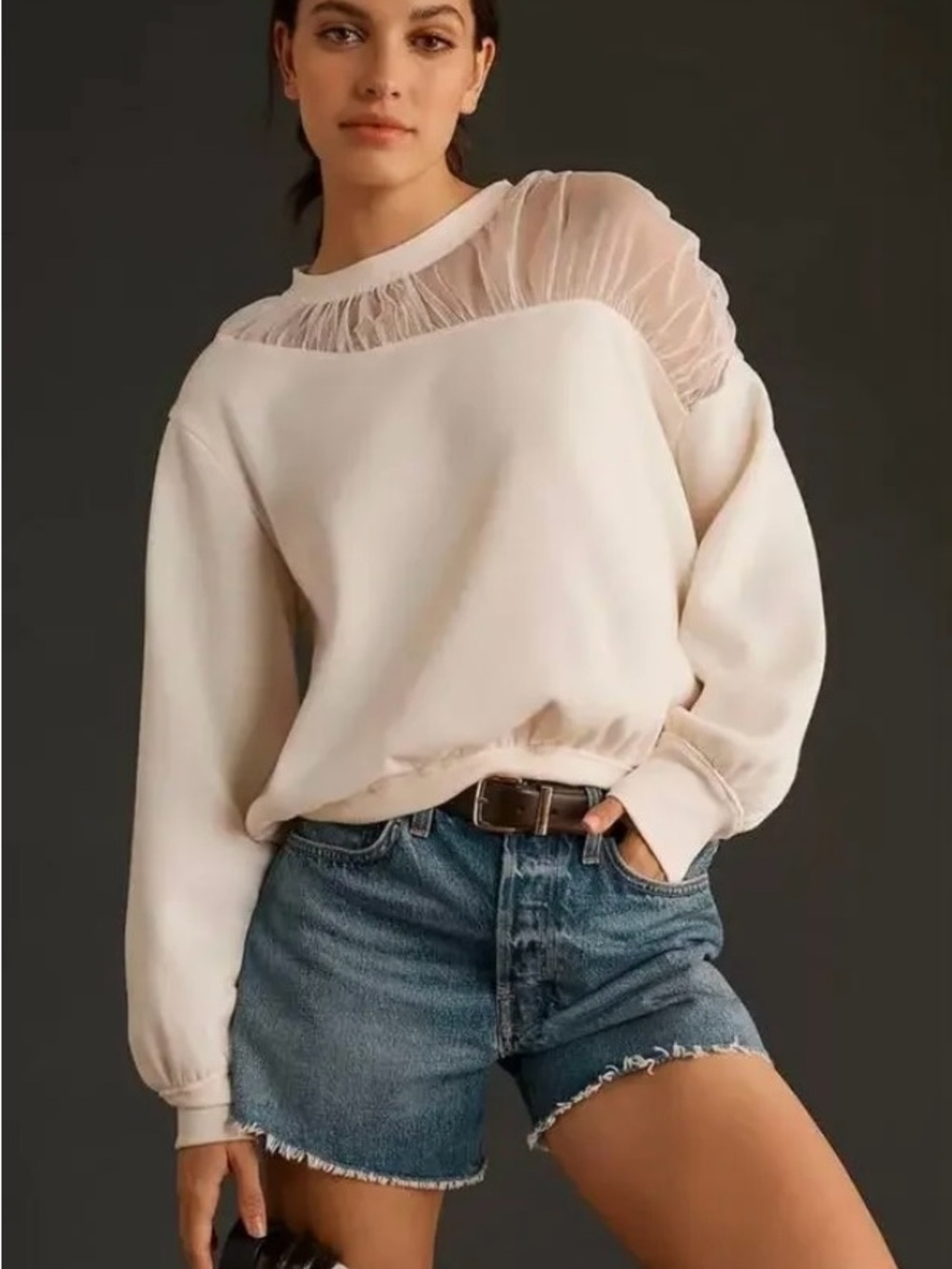 NWT Anthropologie Cream Sheer Sleeve Sweatshirt Women's Petite Large minimalist